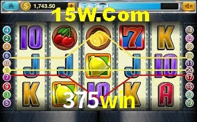 Programa VIP 375win